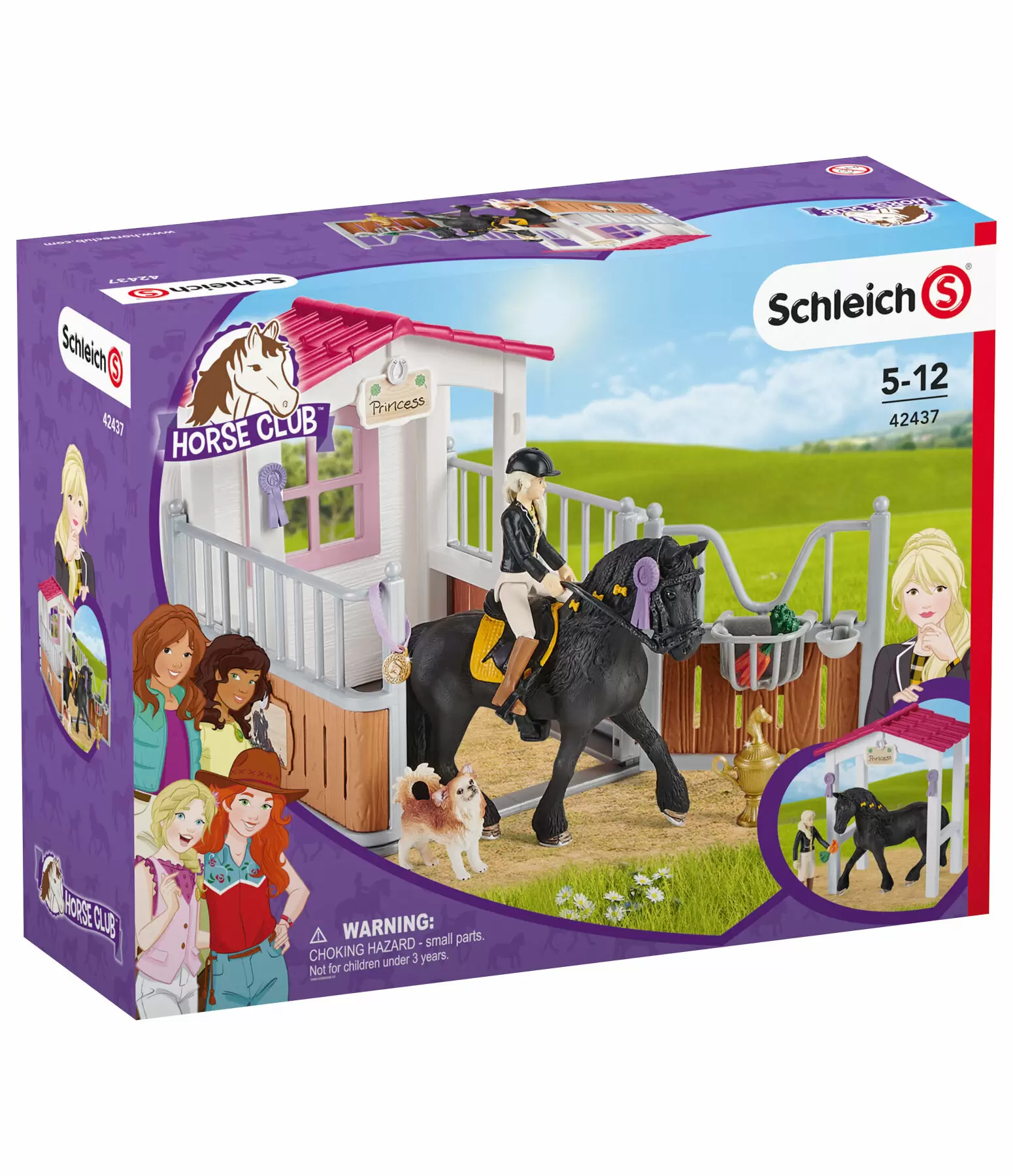 Box avec Tori & Princess  Horse Club